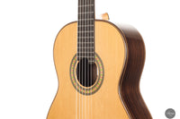 Steven Toon - 2024 - No. 118 DT - 64 cm