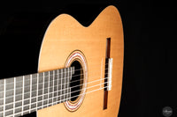 Tamara Stahl - 2025 No.20