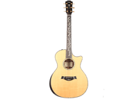 Taylor - PS14ce