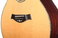 Taylor - PS14ce
