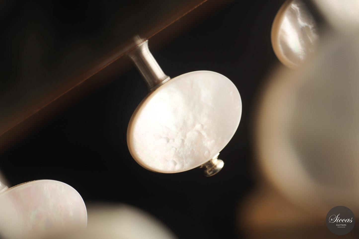 Umberto Cevoli - 2026