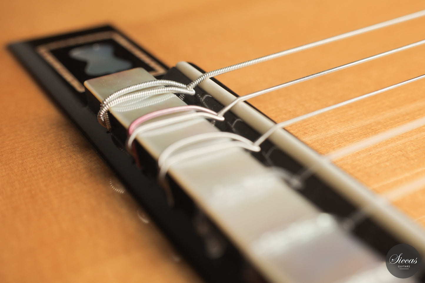 Umberto Cevoli - 2026