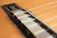 Umberto Cevoli - 2026