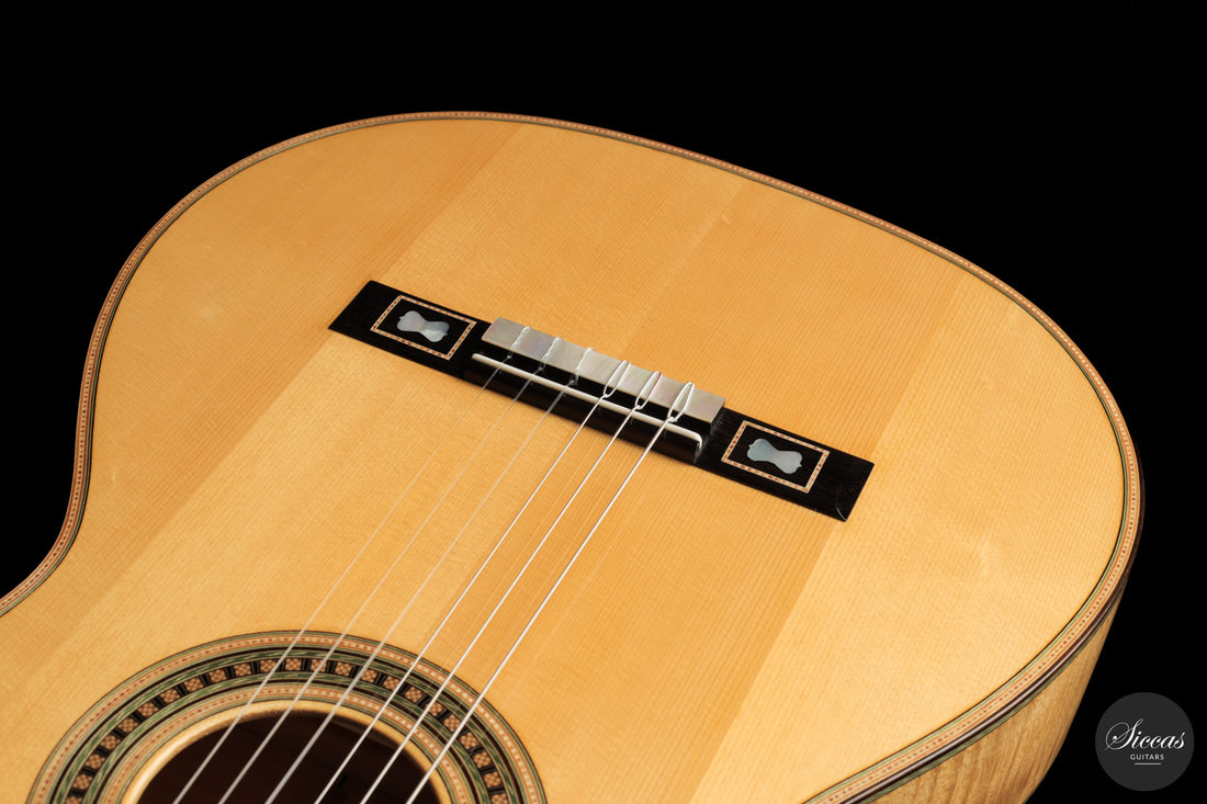 Umberto Cevoli - 2026