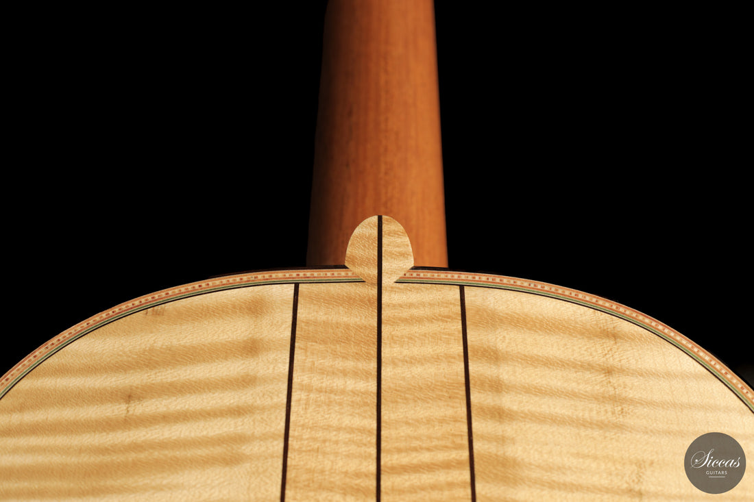 Umberto Cevoli - 2026