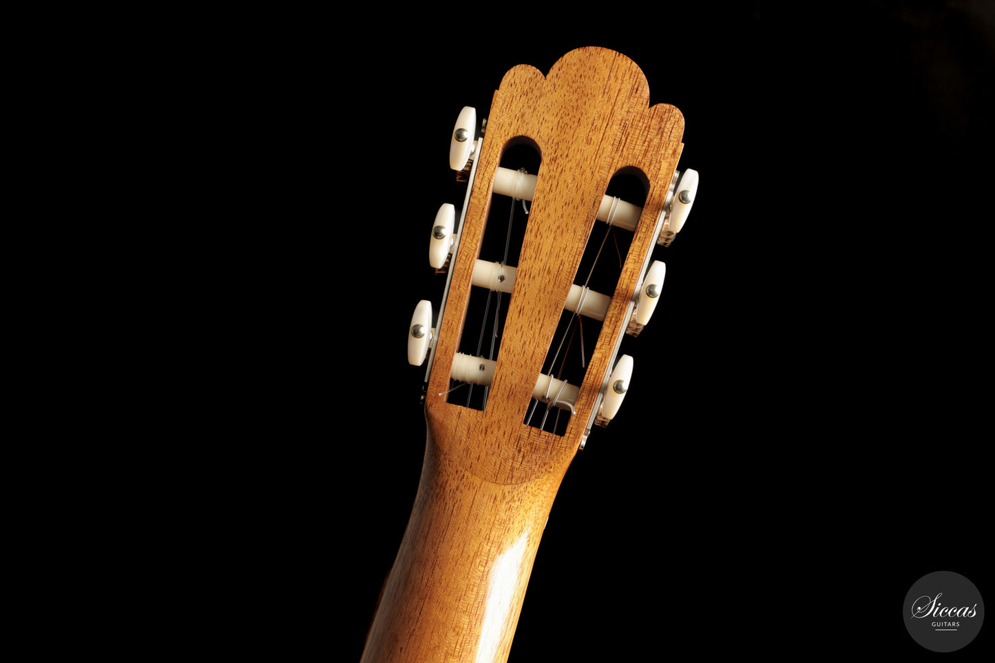 Umberto Cevoli - 2026