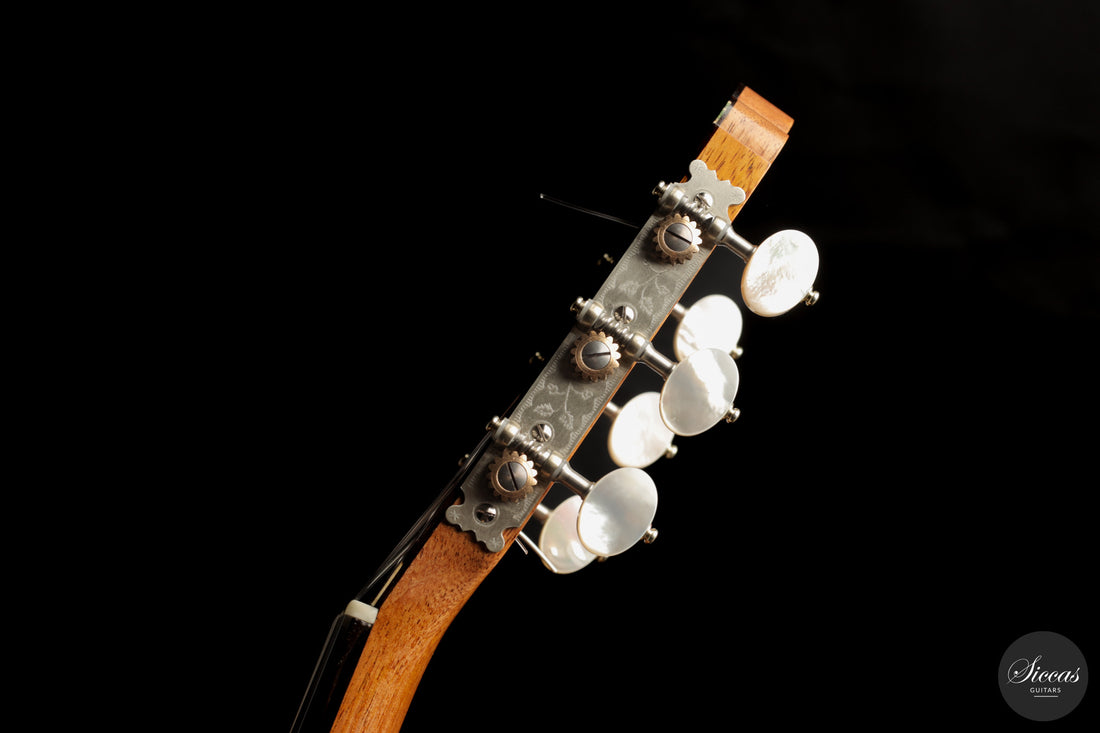 Umberto Cevoli - 2026