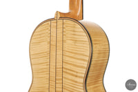 Umberto Cevoli - 2026