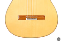 Vicente Carrillo - 2025 Flamenca Blanca - Cipres Exotico