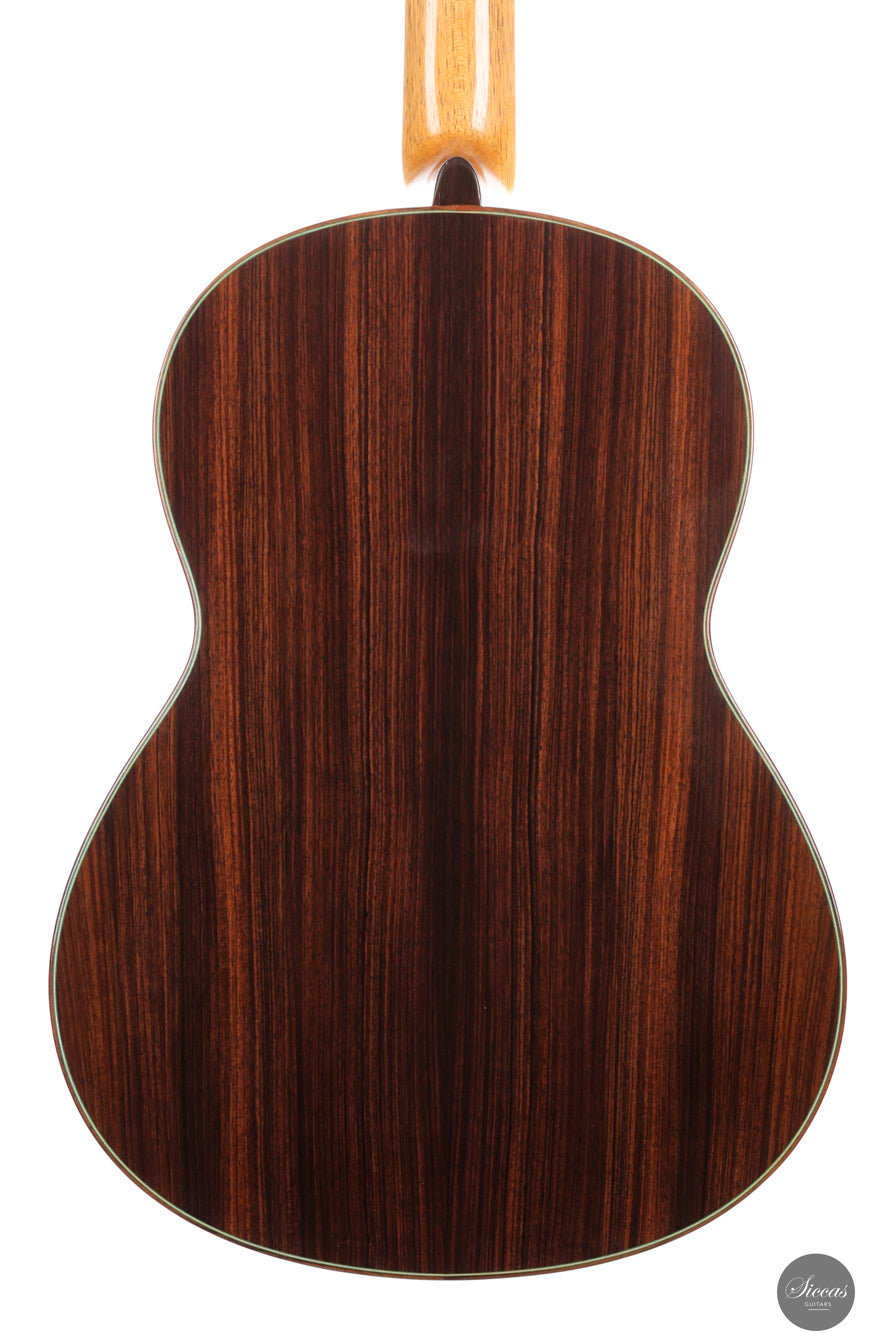 Vicente Carrillo - 2025 Maestro NX - Indian rosewood