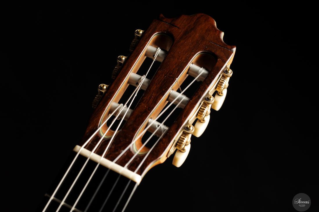 Vicente Carrillo - 2025 Maestro NX - Indian rosewood