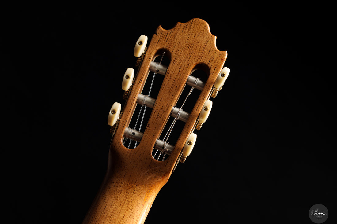 Vicente Carrillo - 2025 Maestro NX - Indian rosewood