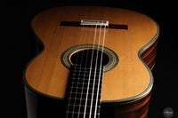 Vicente Carrillo - 2025 Maestro NX - Indian rosewood