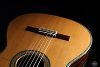 Vicente Carrillo - 2025 Maestro NX - Indian rosewood