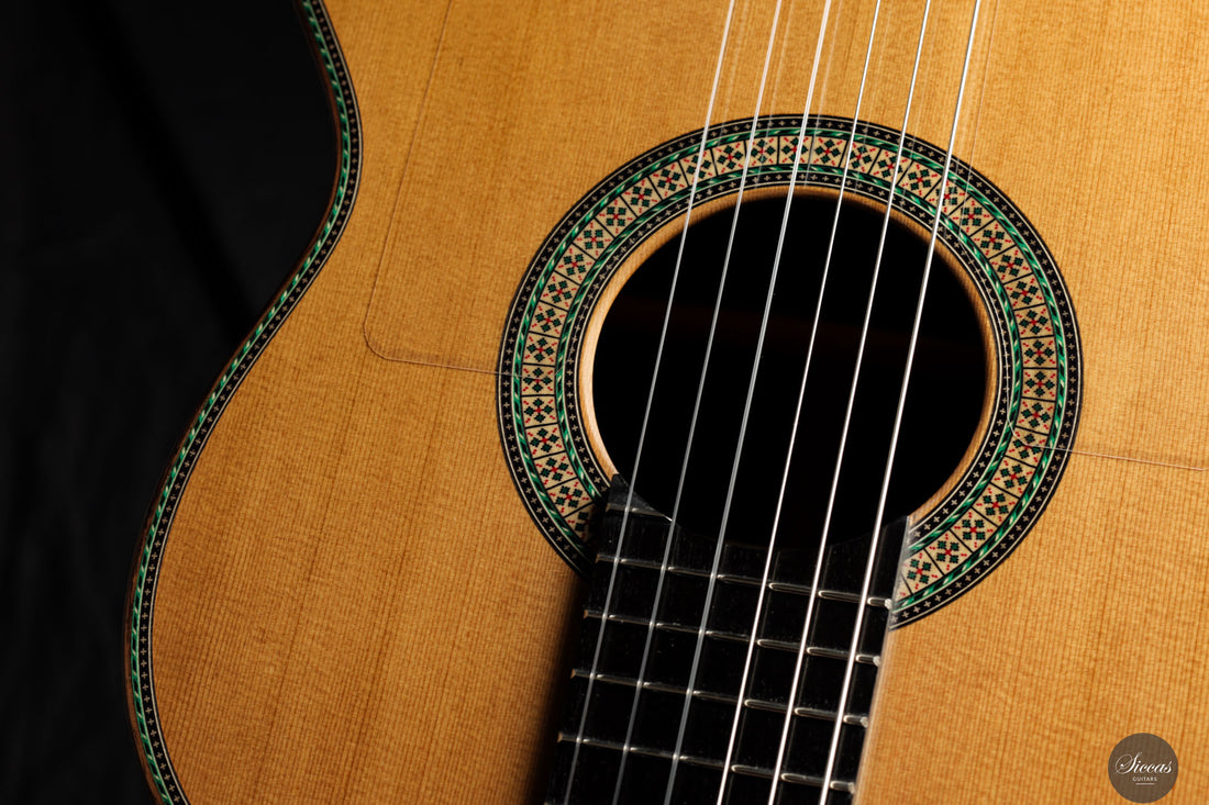 Vicente Carrillo - 2025 Maestro NX - Indian rosewood