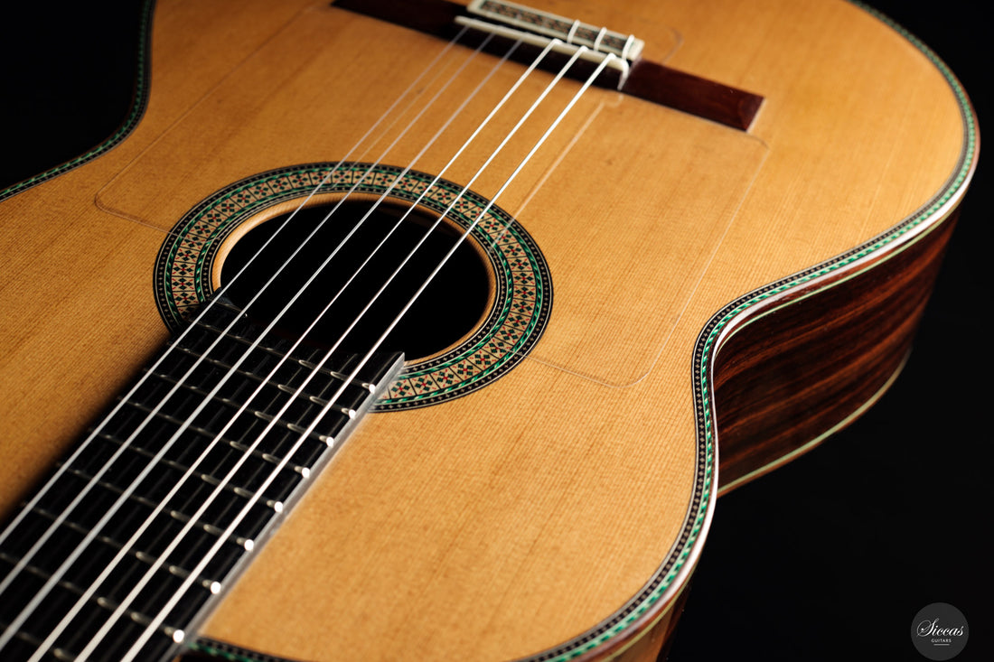 Vicente Carrillo - 2025 Maestro NX - Indian rosewood