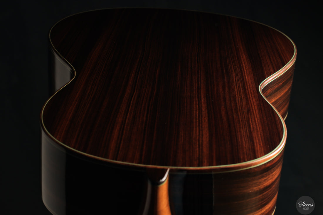Vicente Carrillo - 2025 Maestro NX - Indian rosewood