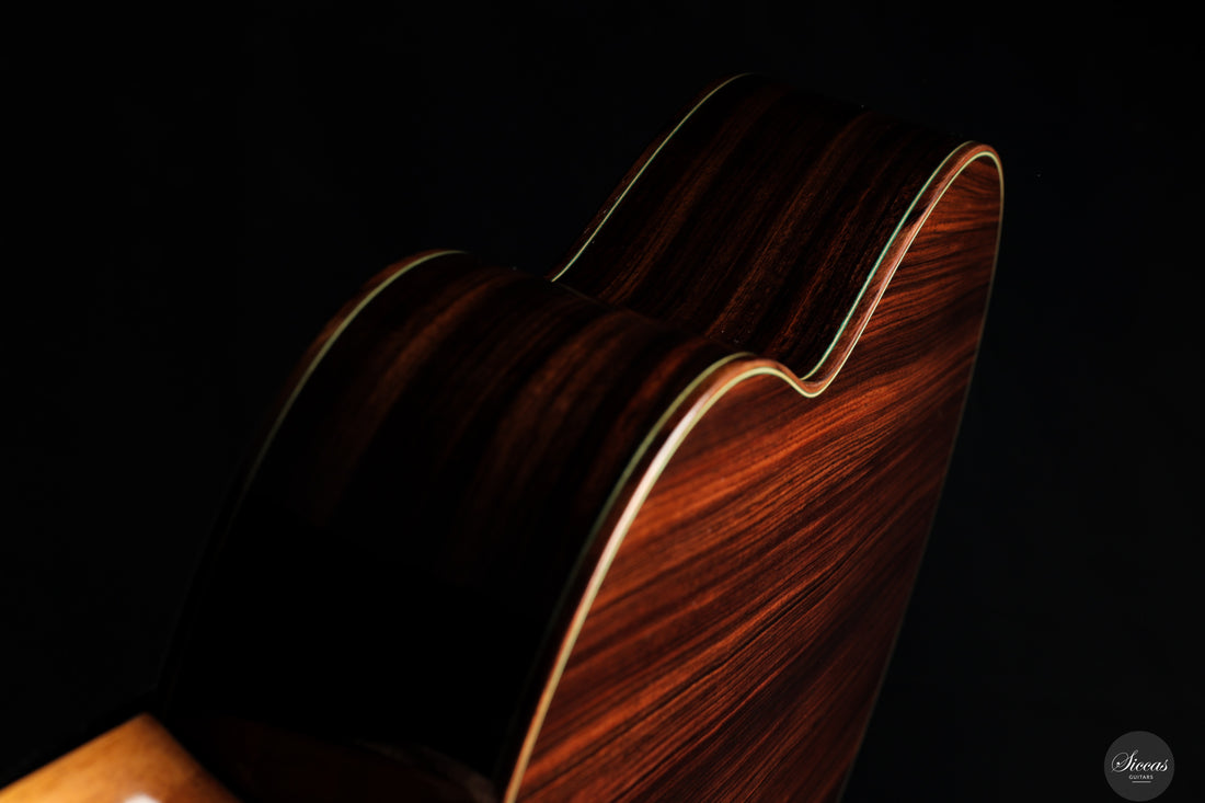 Vicente Carrillo - 2025 Maestro NX - Indian rosewood