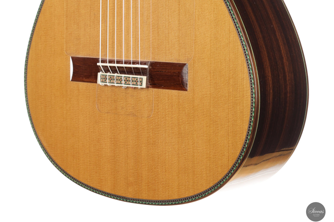Vicente Carrillo - 2025 Maestro NX - Indian rosewood