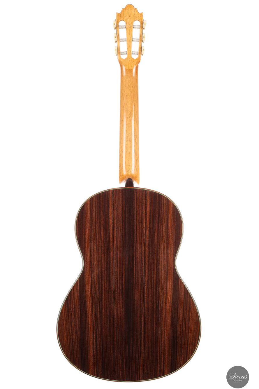 Vicente Carrillo - 2025 Maestro NX - Indian rosewood