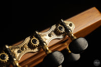 Vicente Carrillo - 7-String "Yamandu Costa"