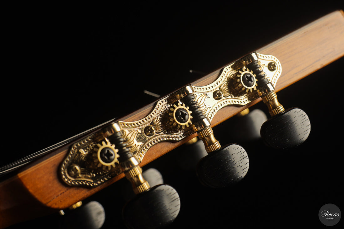 Vicente Carrillo - 7-String "Yamandu Costa"