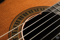 Vicente Carrillo - 7-String "Yamandu Costa"