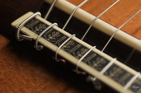 Vicente Carrillo - 7-String "Yamandu Costa"