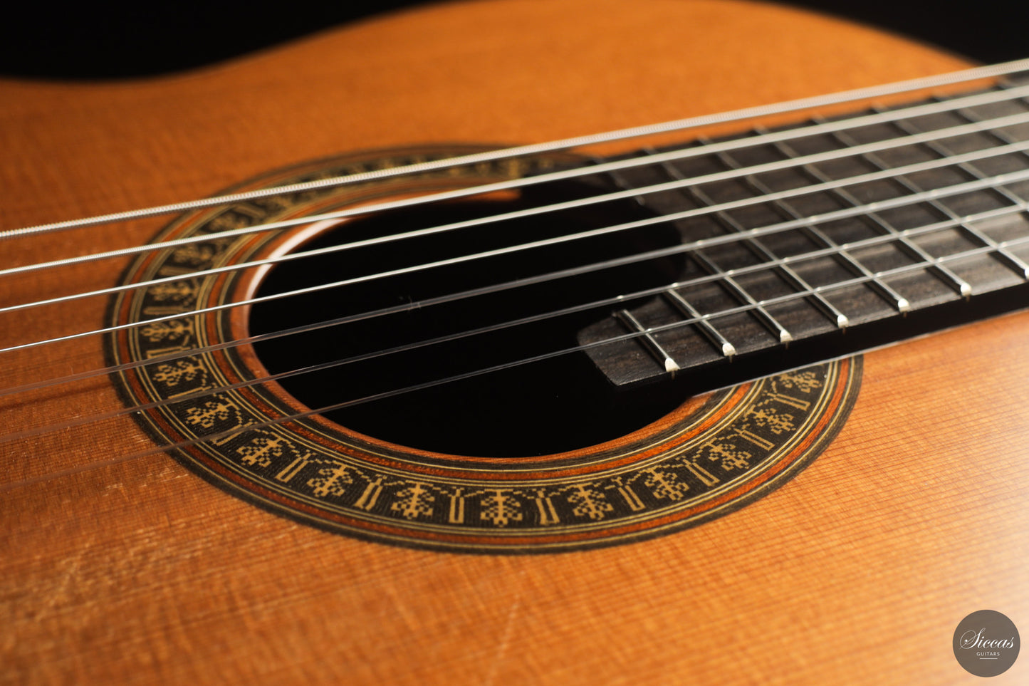 Vicente Carrillo - 7-String "Yamandu Costa"