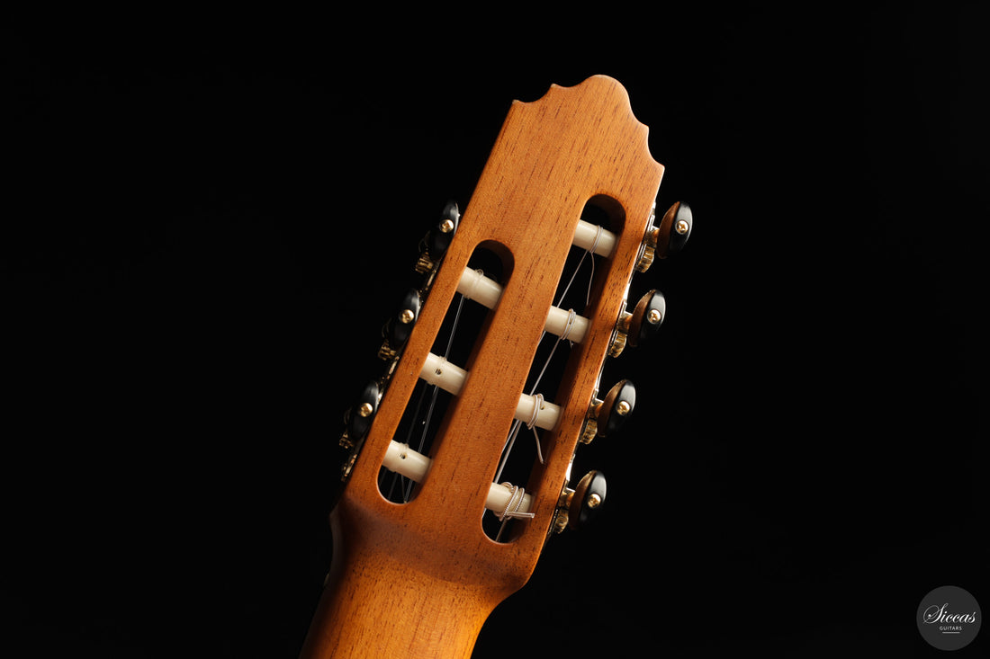 Vicente Carrillo - 7-String "Yamandu Costa"