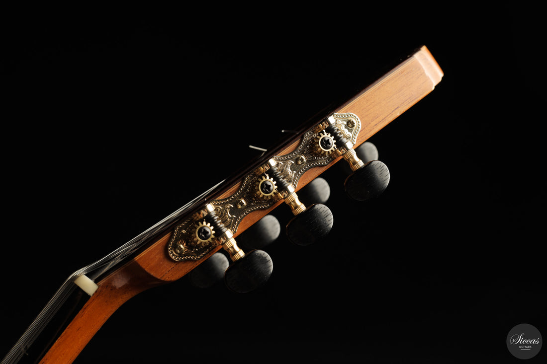 Vicente Carrillo - 7-String "Yamandu Costa"