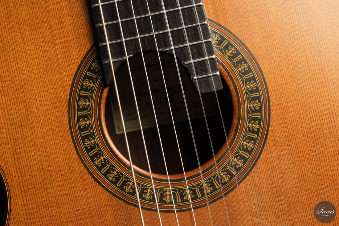 Vicente Carrillo - 7-String "Yamandu Costa"
