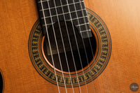 Vicente Carrillo - 7-String "Yamandu Costa"