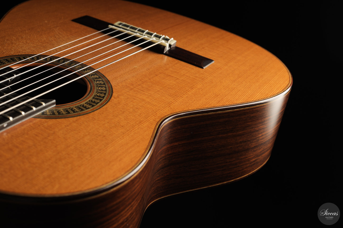 Vicente Carrillo - 7-String "Yamandu Costa"