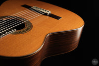 Vicente Carrillo - 7-String "Yamandu Costa"