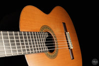 Vicente Carrillo - 7-String "Yamandu Costa"
