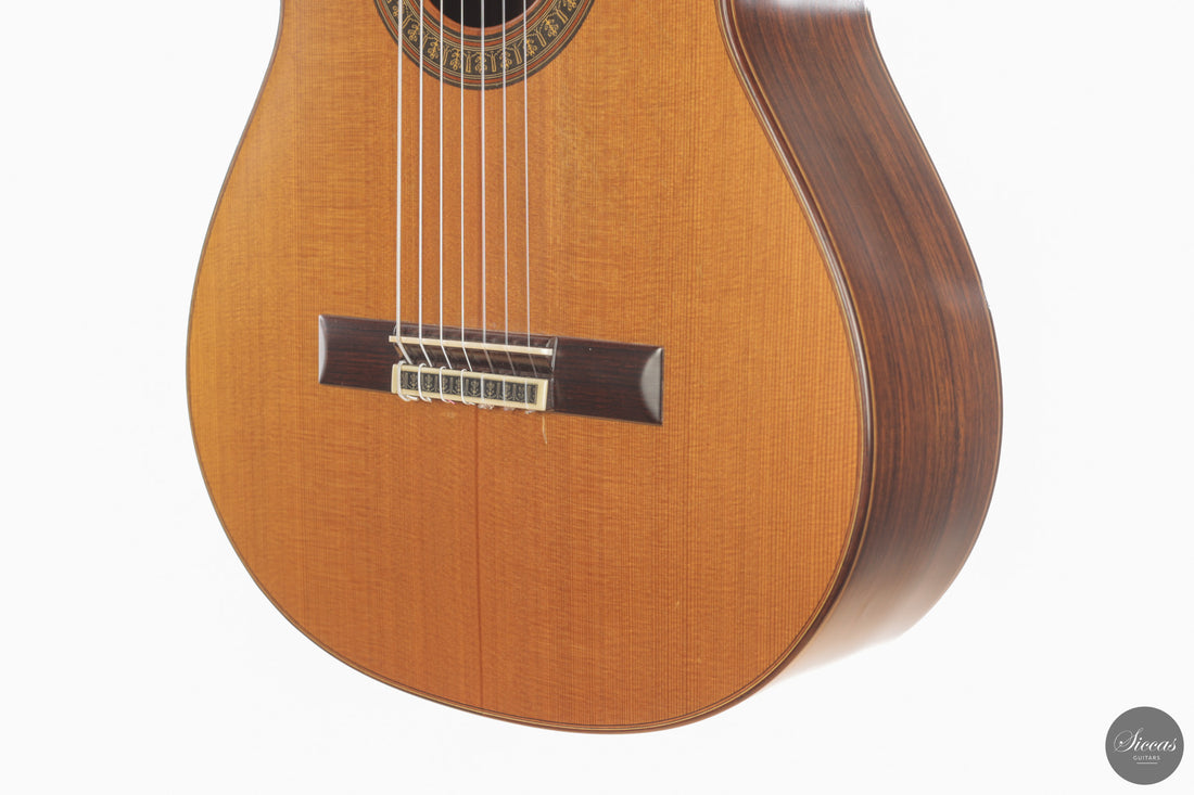 Vicente Carrillo - 7-String "Yamandu Costa"