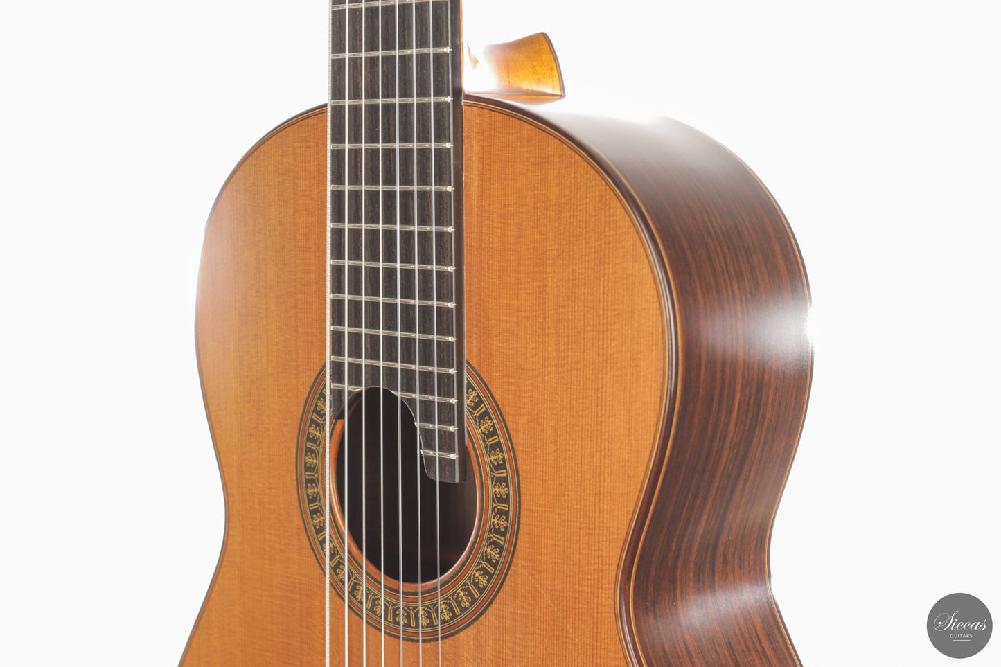 Vicente Carrillo - 7-String "Yamandu Costa"