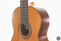 Vicente Carrillo - 7-String "Yamandu Costa"