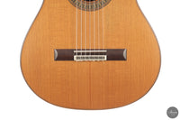 Vicente Carrillo - 7-String "Yamandu Costa"
