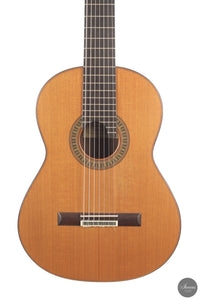 Vicente Carrillo - 7-String "Yamandu Costa"