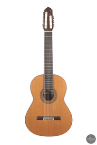 Vicente Carrillo - 7-String "Yamandu Costa"