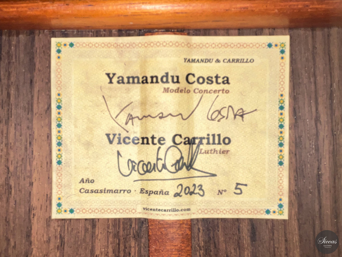 Vicente Carrillo - 7-String "Yamandu Costa"