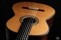 Vicente Carrillo - Maestro NX 2024 (Gernot Wagner Supervised)