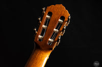 Walter Verreydt - 2025 Lattice