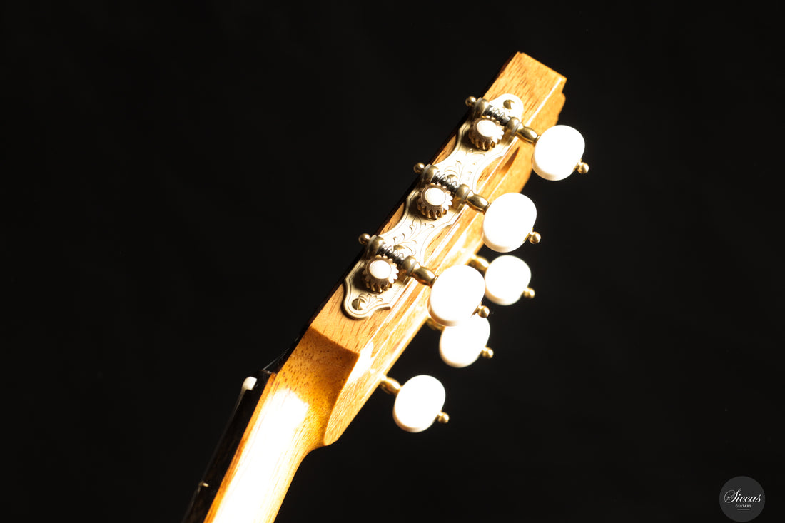 Youri Soroka - 2025 No. 75